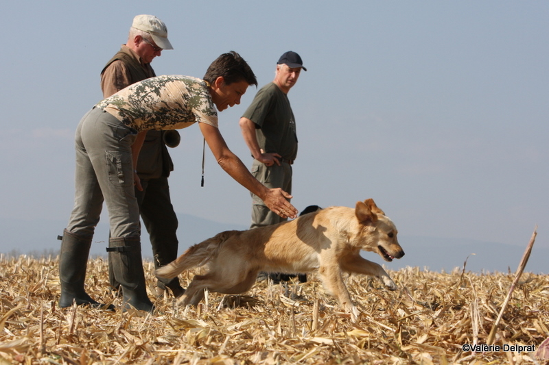 Field Erstein 09 (167).JPG